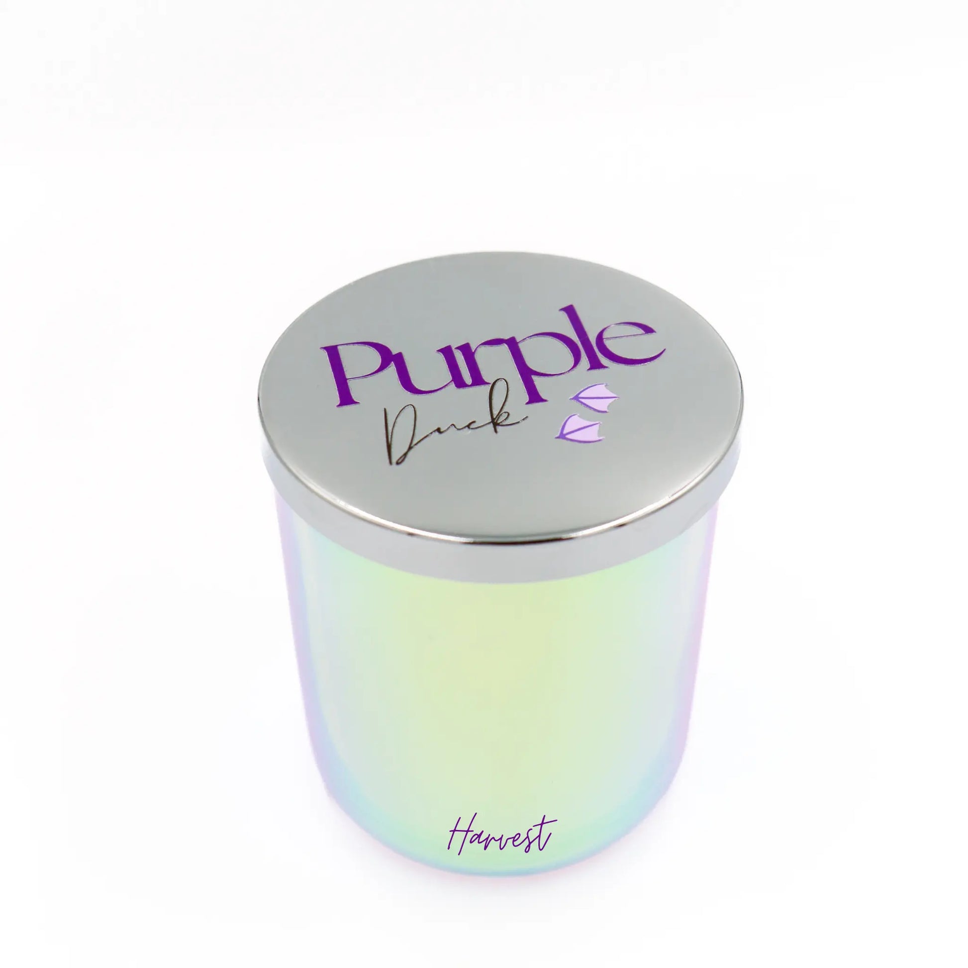 Seasonal 2-Wick Coconut Blend Wax Candles Purple Duck